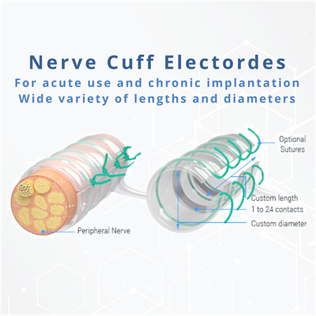 Nerve Cuff Electrodes