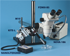 sample injection setup with Kite manipulator and Nanoliter Injector