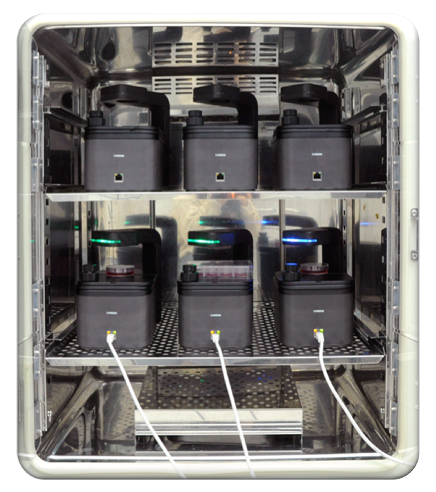 Fit into standard CO2 incubator