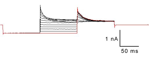 HEK cell data