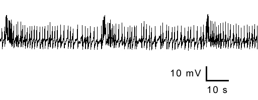 Drasophila data