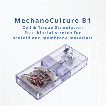 MechanoCulture B1