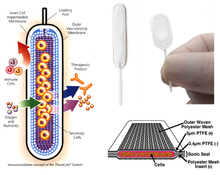 Cell Encapsulation Device