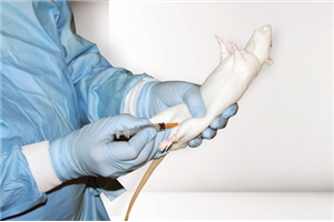 RT001 CurVet Rat Intramuscular Training