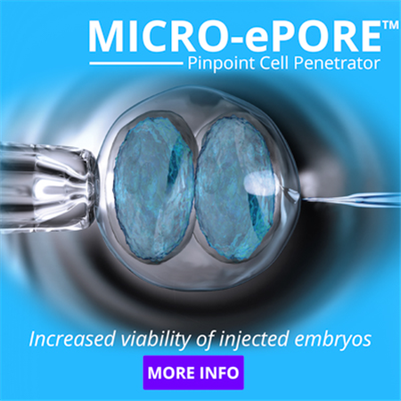 MICRO-ePORE