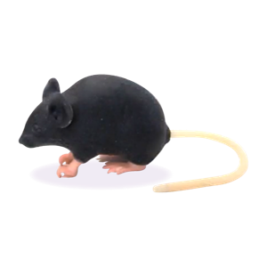 World Precision Instruments | MM001 Mimicky Mouse Experimental ...