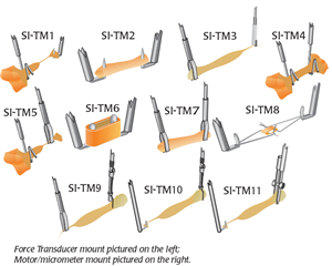 WPI´s SI Heidelberg Tissue Mounts