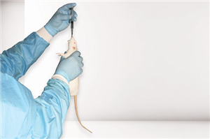 RT001 CurVet Rat Oral Administration Training