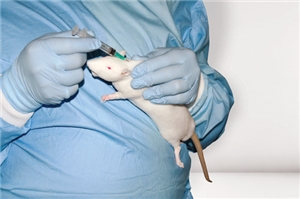 RT001 CurVet Rat Resealable Skin