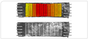 Optional imaging system allowsto verify specimen strains and strain uniformity