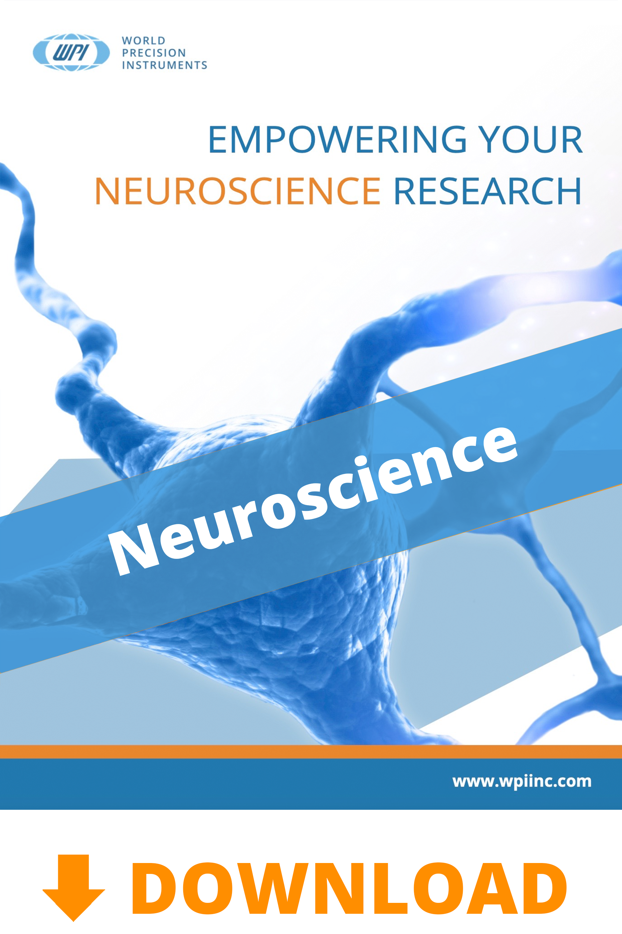 Download the Neuroscience Application brochure