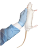 RT001 CurVet Rat 