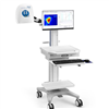 RFLSI-ZW Laser Speckle Contrast Imaging System