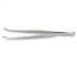 Tissue Forceps Stainless Steel