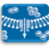 Cell And Tissue Knowledgebase