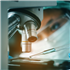 Organoids in Biomedical Research