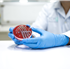 Improve Your Cell Culture Outcomes with FluoroDish™ Cell Culture Dishes