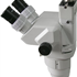 Stereomicroscope PZMIII series