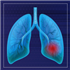 TEER Measurement in Lung In vitro Models 